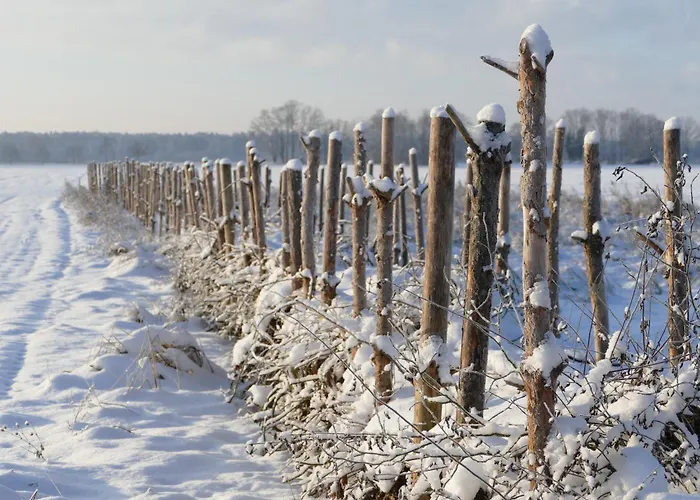 Naturgarten Karlsfeld In Der Schoenen Lausitz Apartament *
